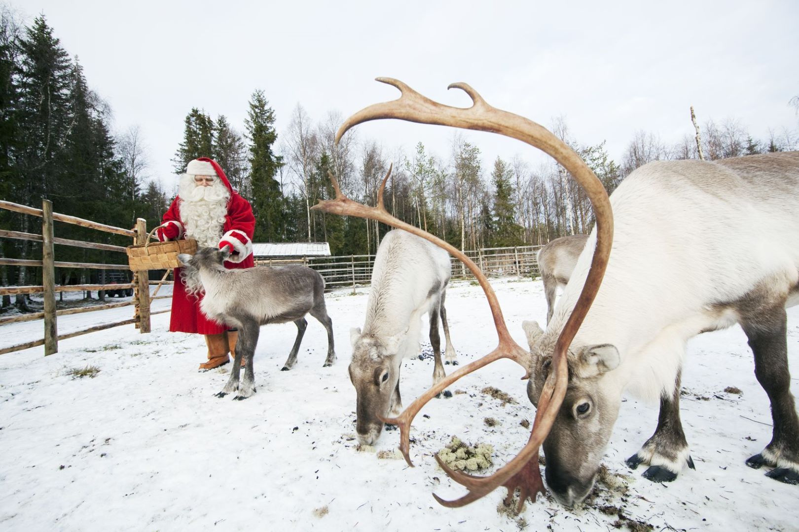 Finnland_Weihnachtsmann