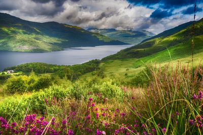 Schottland_Loch_Lomond