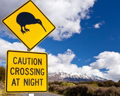 Kiwi_Straßenschild