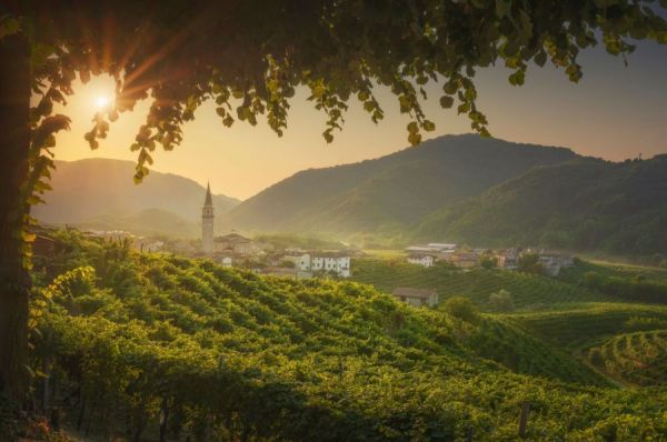 „Strada del Prosecco“ – die Prosecco Straße 