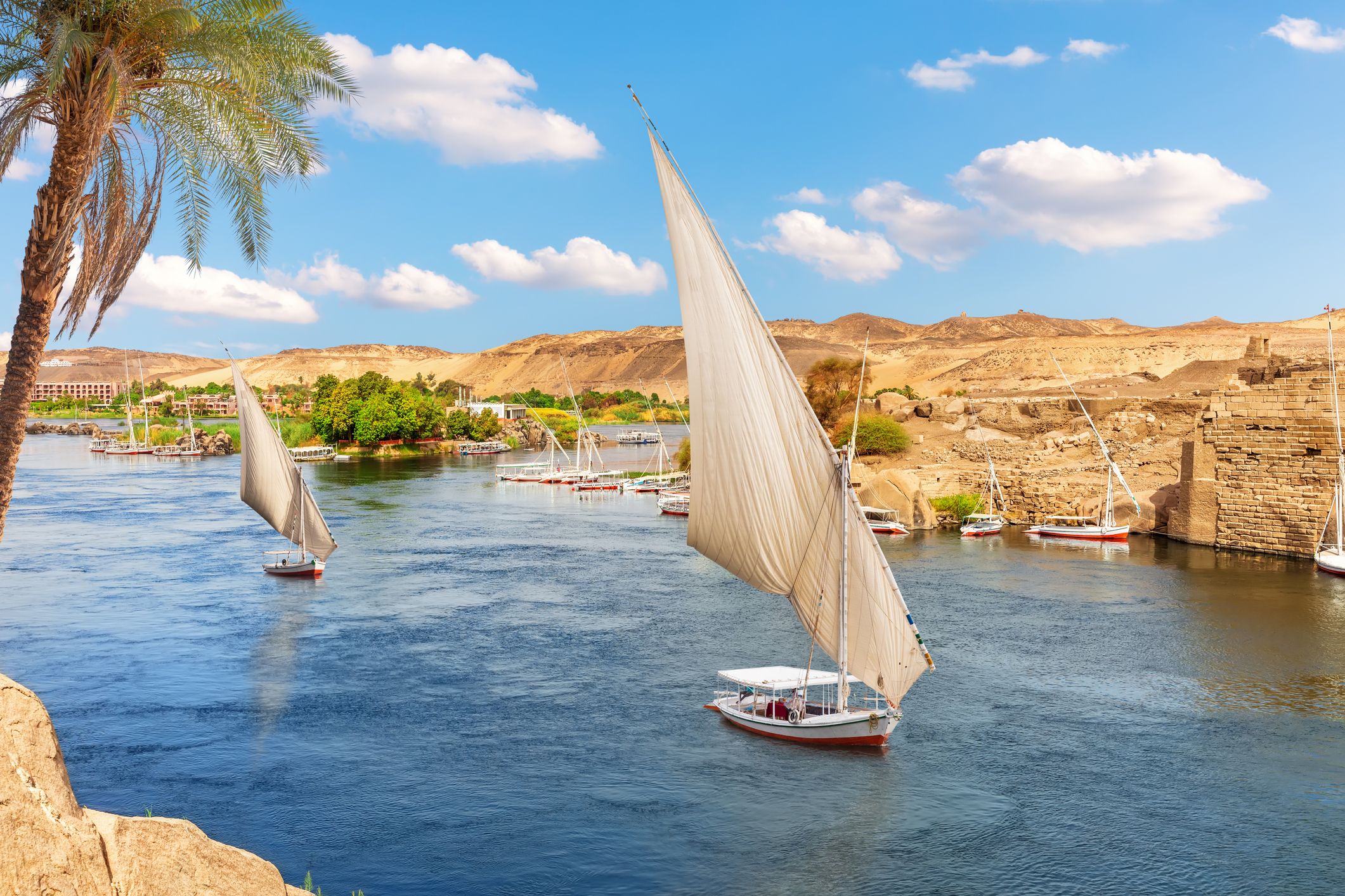  EG_Nil_Felucca©iStock-1393616292.jpg 