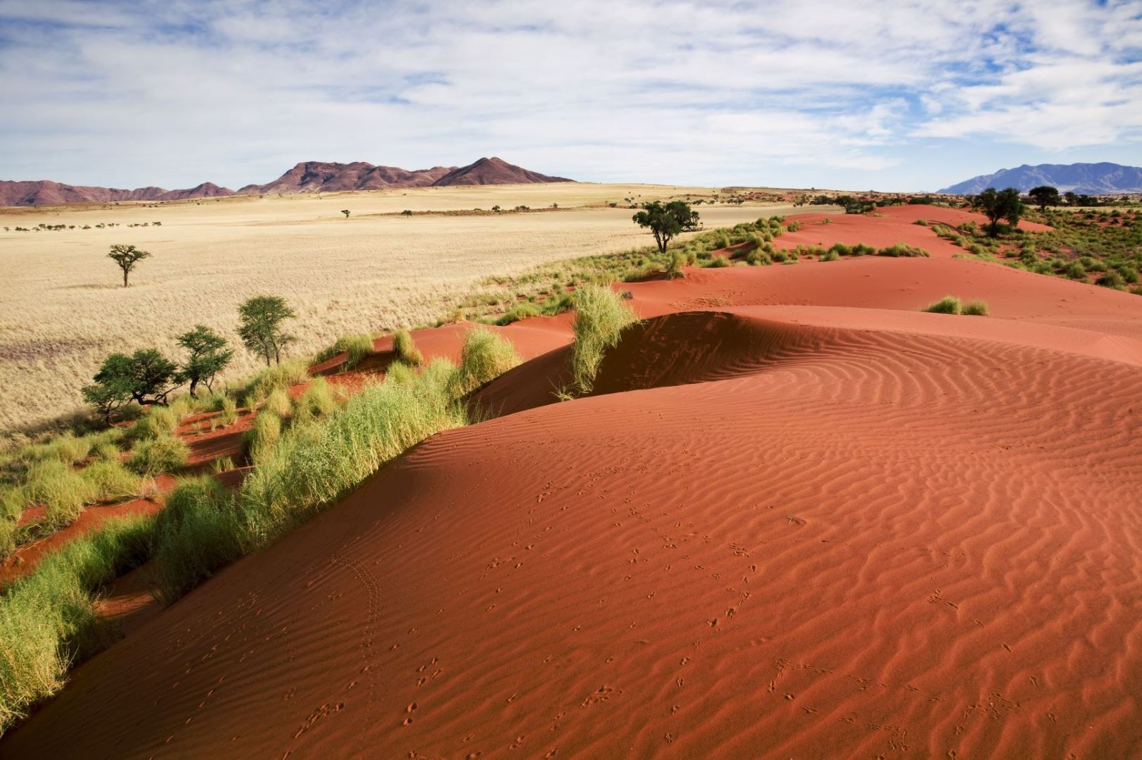  MW Reise Abenteuer Namibia 